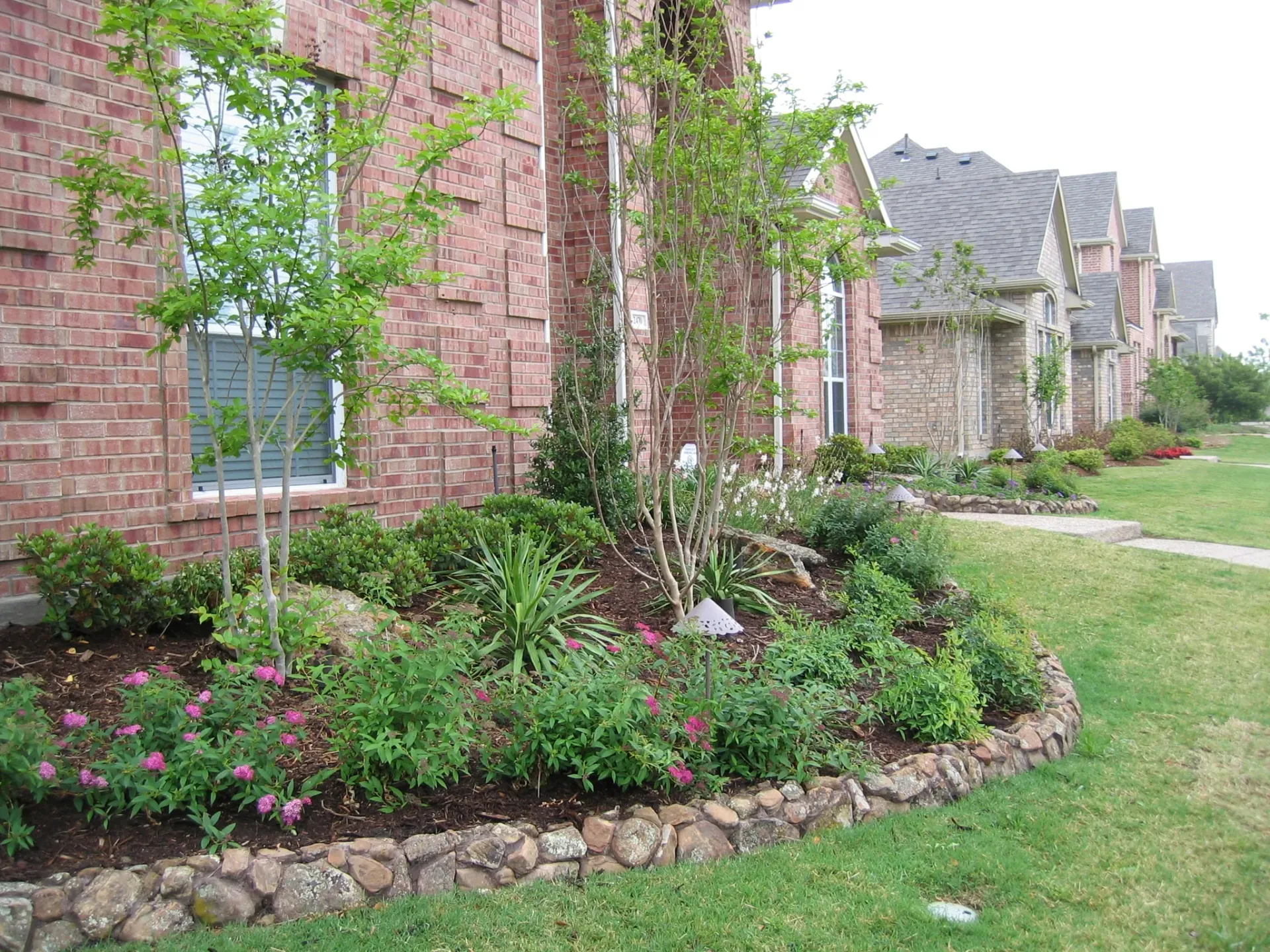 Boulder Frontyard Landscape