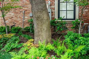 Swimming Pool Landscaping Services in Frisco, TX