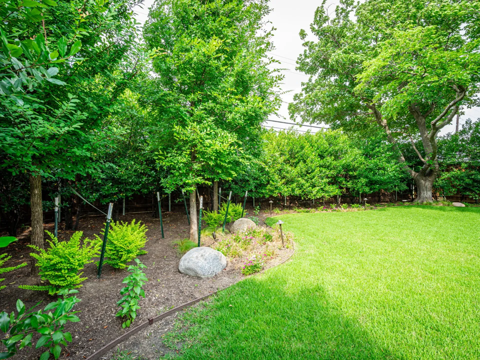 How Runoff From Neighboring Properties Creates Drainage Challenges In Dallas And Plano, TX Landscapes