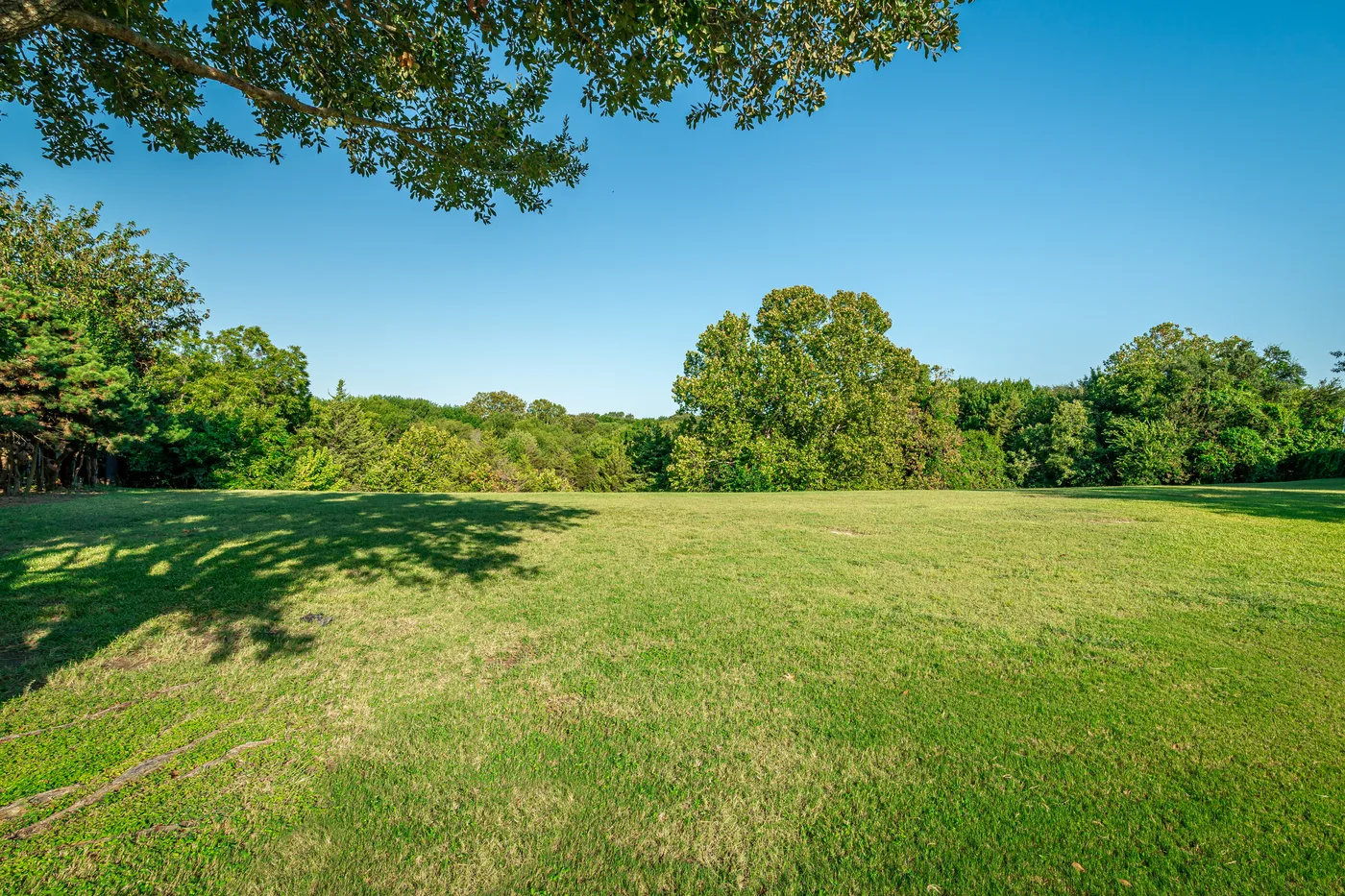 How to Future-Proof Your Landscape with Smart Irrigation & Drainage Infrastructure