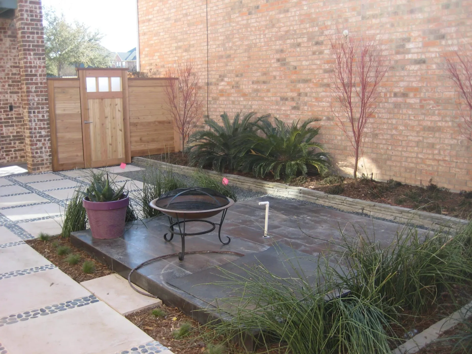 Courtyard Landscape