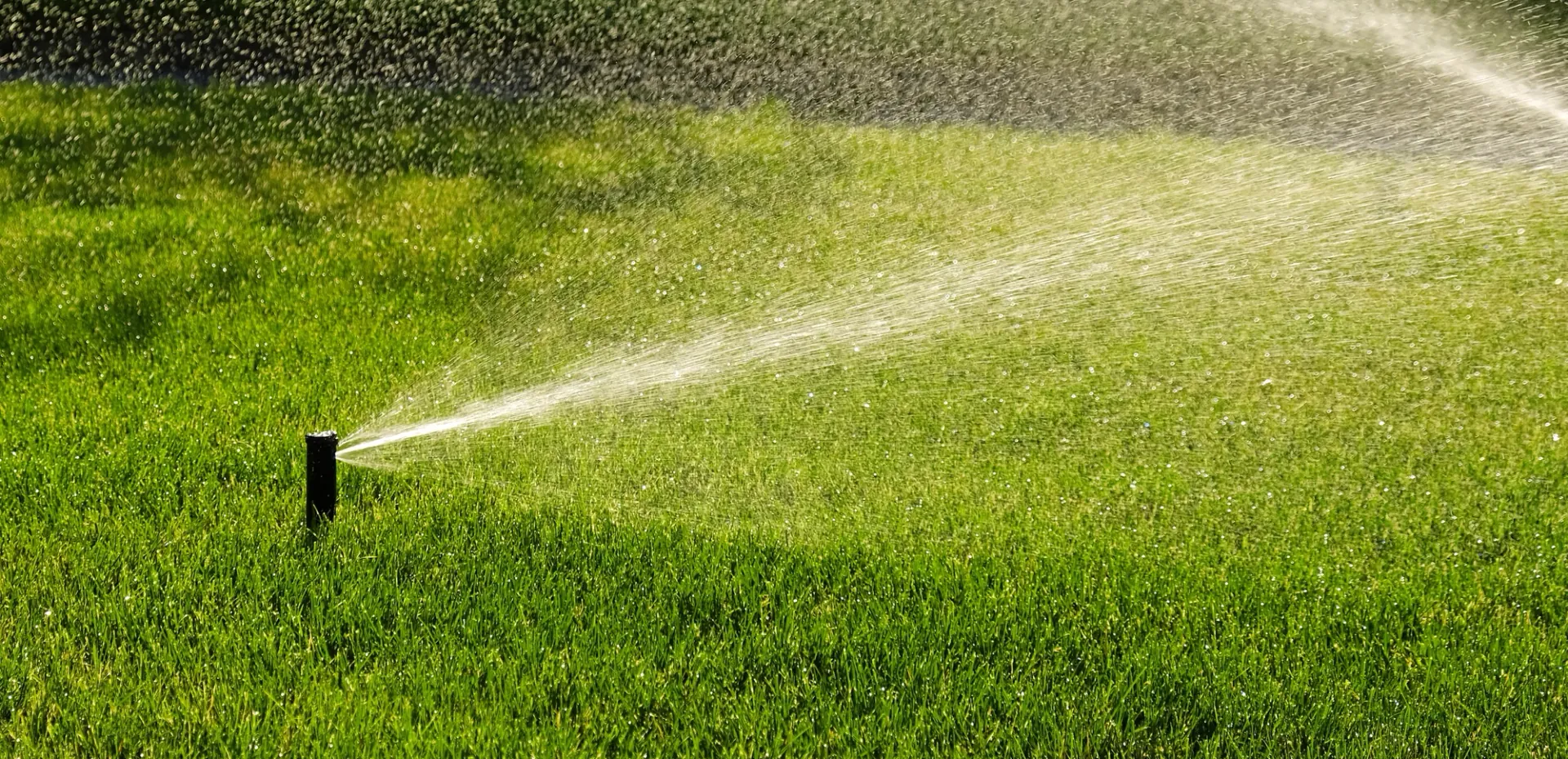 Professional Irrigation & Drainage Services