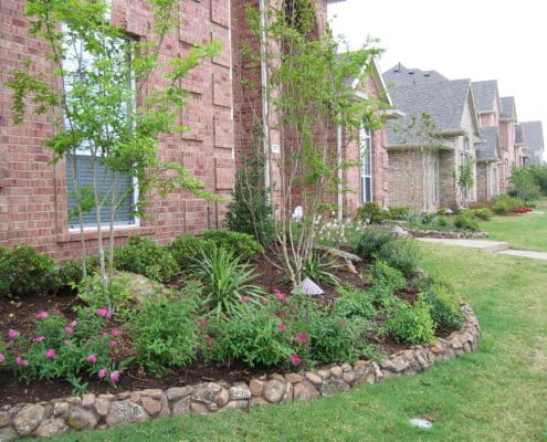 Frisco landscape
